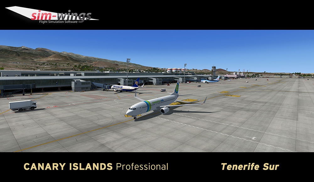 Canary Islands professional - Tenerife Sur